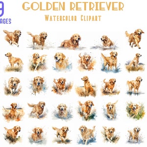 Golden retriever clipart, schattige hond clipart, golden retriever aquarel 39 kwaliteitsafbeeldingen, golden retriever portret, digitale downloadafbeelding