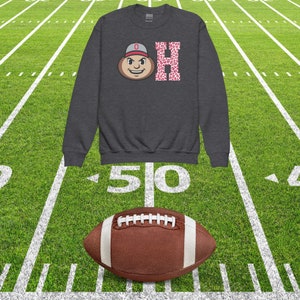 Brutus hot sale buckeye sweatshirt
