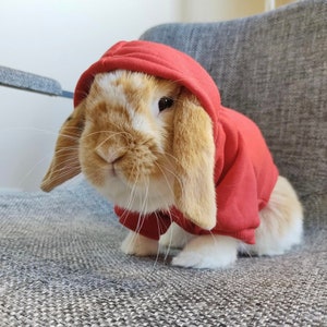 Trendy small pet hoodie for rabbits / bunny / ferret / kitten / puppy / fully-grown hamster / guinea pig and other small animals