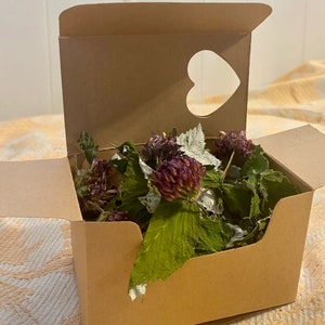 Wild summer - L'Heureux Lapinou - rabbit bunny / hamster / rat / mouse / chinchilla / gerbil treats - forage box / foraging