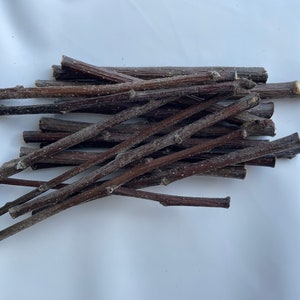 Natural apple twigs - product of Quebec for rabbit / bunny / hamster / rat / mouse / chinchilla / gerbil treats - forage box / foraging