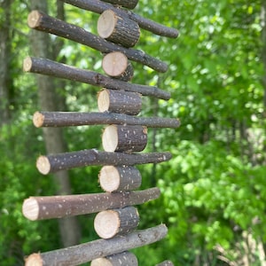 Applecrisp - natural/fresh apple wood  for pets such as rabbit bunny / hamster / rat / mouse / chinchilla / gerbil and other small pets