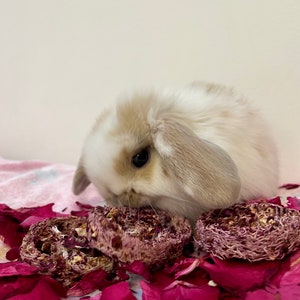 Banana and Rose Loofahs for rabbit / bunny / hamster / rat / mouse / chinchilla / gerbil treats - forage box / foraging