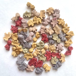 Dino Multivitamin Bunny Treats – All Natural HEALTHY Training & Bonding Snacks for Rabbits, Hamsters, Guinea Pigs, Chinchillas, Small Pets