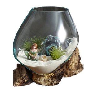 MedLG Teak Wood Terrarium Hand Blown Glass & Teak Wood Root-- Terrarium Container - Fish Bowl - Betta Fish Bowl - Plants - Sculpture - Gift