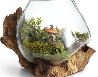 Hand-Blown Glass and Teak Wood Terrarium- Unique Medium-Sized Terrarium Container for Betta Fish, Plants, and Sculptural Display - Sculpture