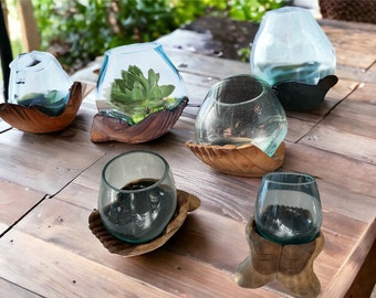 Huge Sale! 6 for price of 4!   Hand-Blown Glass and Teak Wood Terrarium- Hand Offering Terrarium Betta Fish, Plants, and Sculptural Display