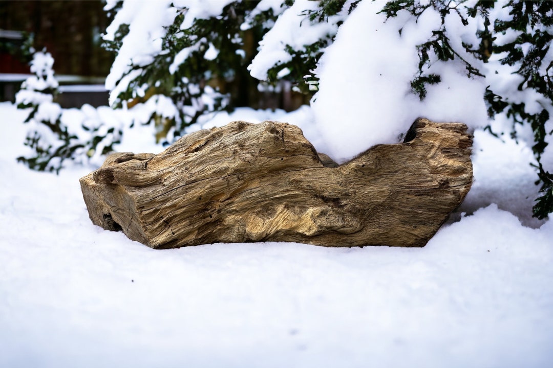 Sm Exotic Teakwood Thick Branch Driftwood Thick Branch Sculpture Art