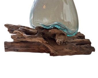 Teak Wood Root And Blown Glass Terrarium Sculpture large Size
