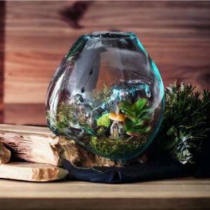 The Charm of Nature Indoors w/ Our Hand-Blown Glass & Teak Wood Root Large Terrarium - Ideal for Fish, Plants, and Wedding Gifting Delight!