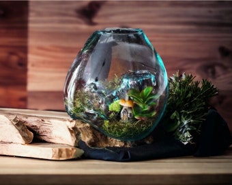 The Charm of Nature Indoors w/ Our Hand-Blown Glass & Teak Wood Root Large Terrarium - Ideal for Fish, Plants, and Wedding Gifting Delight!