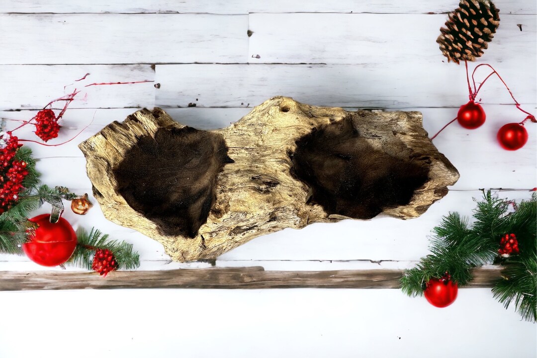 Sm Exotic Teakwood Thick Branch Driftwood Thick Branch Etsy