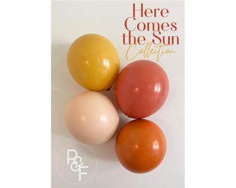 DIY Balloon Garland: Earth Tone Terracotta, Burnt Orange Balloons