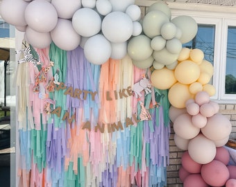 Fringe Backdrop | Pastel Colors | Photo Background