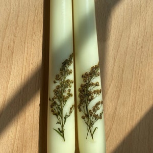 Burnt Brush: Pressed wildflower taper candles, gift for her, real flower candles, bridesmaid gift, valentines day decor