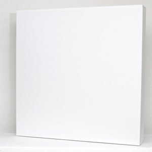 Puede incluir: Un lienzo blanco en blanco, listo para ser pintado o utilizado para otros proyectos creativos.