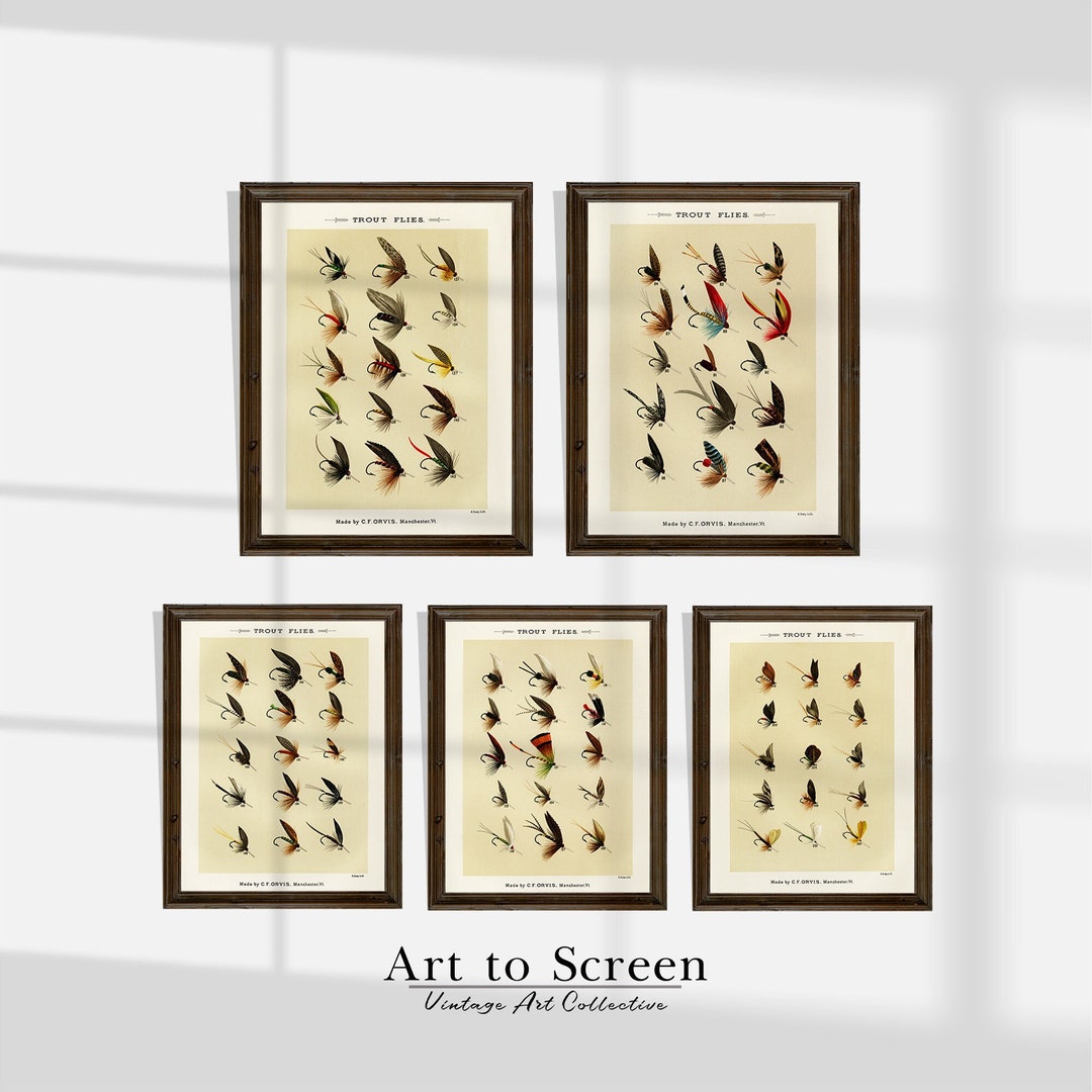 Trout Flies Set of 5 Vintage Printable Trout Flies. Etsy