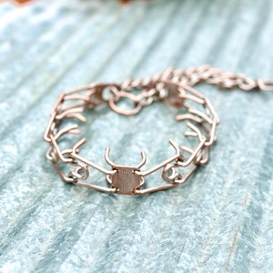 Custom Powder Coated Rose Gold Herm Sprenger Prong Collar for Dogs