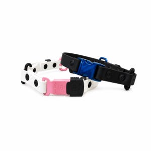 May include: Two dog collars. One is white with black spots and a pink buckle. The other is black with a blue buckle. Both collars have a simple, modern design and are made of a flexible material.