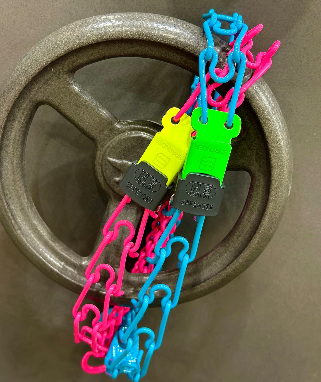 Custom Powder Coated Herm Sprenger Prong Collar With Quick Release