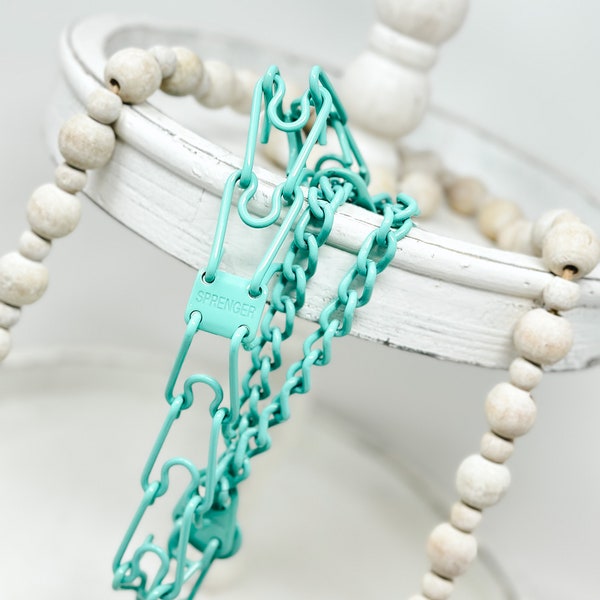 Custom Powder Coated  SeaFoam Green Herm Sprenger Prong Collar for Dogs