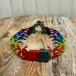 Rainbow anpassat pulverlackerat Herm Sprenger Prong halsband, hundhalsband