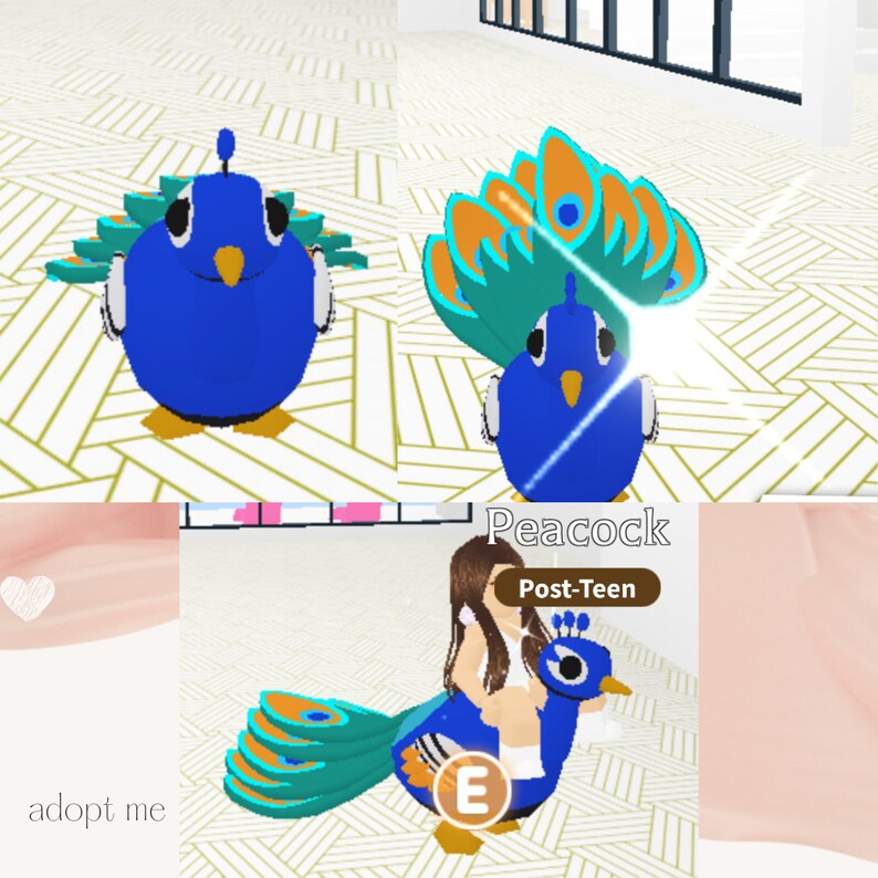FR Peacock Adopt Me Legendary Fly Ride Etsy