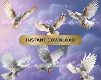White Doves Wedding Clip Art Bundle, Transparent PNG (Digital Download)