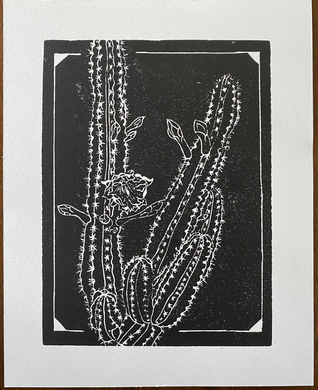 Cereus Repandus Cactus Linocut Print - Etsy