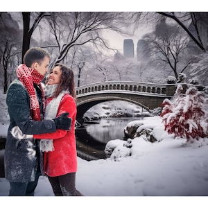 6 digitale Kulissen Fotografie Hintergrund Photoshop Overlay Portrait Studio Kulisse für Fotografen nyc new york city Weihnachten Kulisse