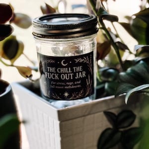 Pode incluir: Um frasco de vidro transparente com um rótulo preto que diz "THE CHILL THE FUCK OUT JAR" com o texto abaixo "For stress, rage, and full moon meltdowns". O frasco tem uma tampa de metal prateado e está em um vaso quadrado branco.