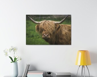 Highland Cow Stretch Canvas
