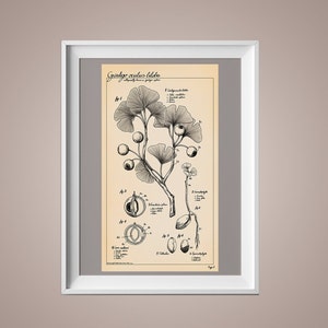 cartel de bosquejo científico de ojo de ginkgo espeluznante imprimible 4k