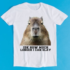 Non so per quanto tempo ancora potrò uccidere un opossum, un capibara, un meme sarcastico e sgradevole, un regalo divertente, una maglietta unisex, stile cult per giocatori, film musicale, K1066