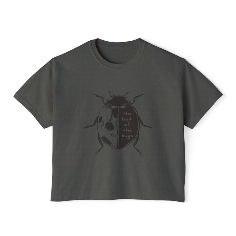 The Last Of The Bugs Ladybug Shirt - Women's Boxy Tee - Slightly Cropped Tee image 4