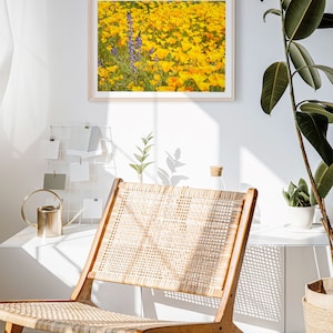 Digital Download - Wild poppies in the springtime in Arizona- Instant Photo Download - Printable Wall Art