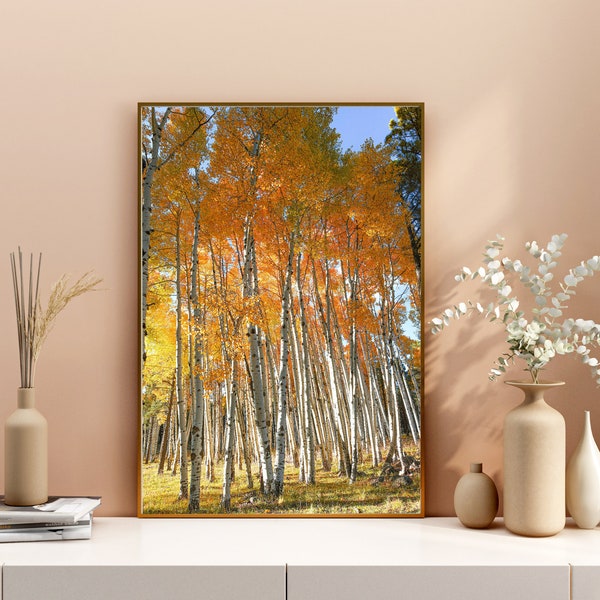 Digital Download - Aspen Trees in fall on the San Francisco Peaks, Flagstaff, Arizona- Instant Photo Download - Printable Wall Art