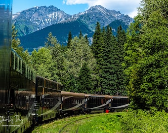 May include: A black train car with a white stripe and the words "Rocky Mountaineer" on the side. The train is traveling through a lush green forest with snow-capped mountains in the background.