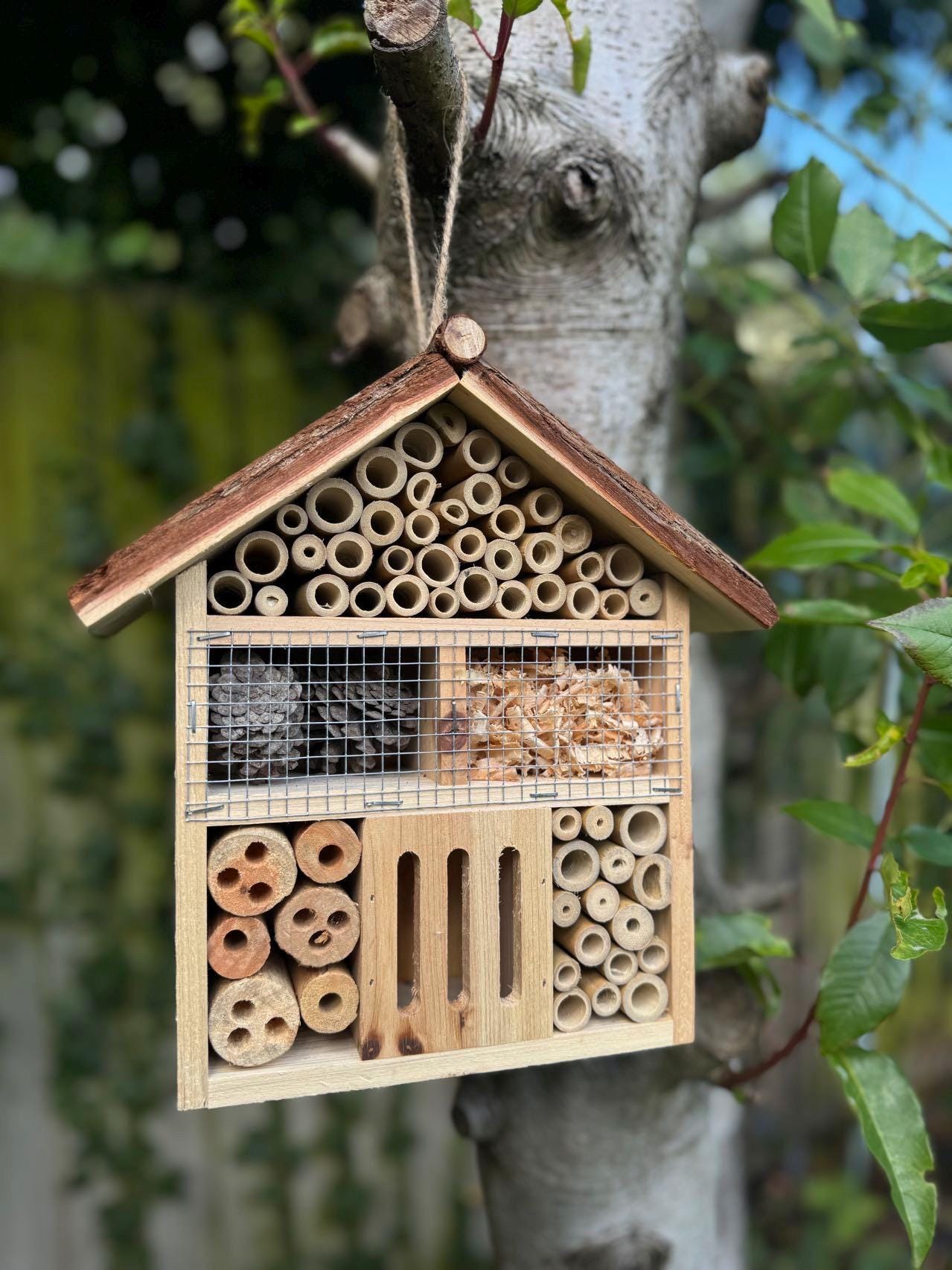 Large Insect Home Handmade Large Insect House 26 X 9 X 27cm - Etsy UK