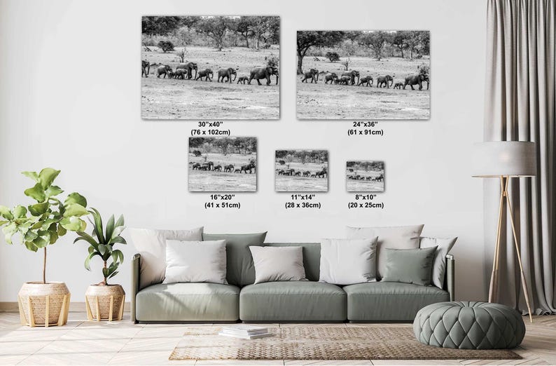 Elephant Family of All Sizes Including Babies Marching Single File Fine