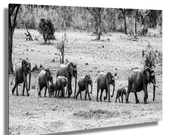 Elephant Family Art Print: Black and White Safari Photography