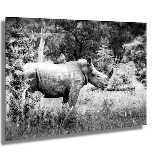 Black Rhino Profile Print, African Animal Art, Safari Wall Decor, Endangered Species, Wildlife Photography, Large Canvas Artwork
