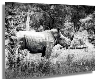 May include: Black and white photograph of a rhinoceros standing in tall grass and foliage. The rhino has a large horn and is surrounded by trees and bushes. A bird is perched on the rhino's back.