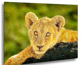 Serengeti Lion Cub Photo Print: African Safari Nursery Wall Art