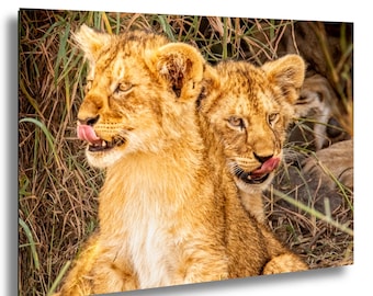 Lion Cubs Photography Print: Serengeti Safari Nursery Wall Art