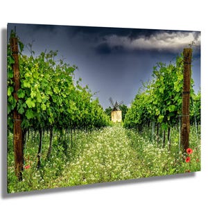 Provence Vineyard Photo, Rustic Landscape with Poppies, Windmill (Wall Art)