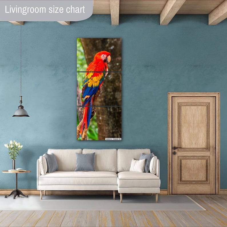 Picture of Scarlet Macaw Wall Decor: Tropical Parrot Bird Photography (costa Rica ...