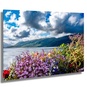 Ullapool Scottish Landscape Print, Summer Flowers (Canvas or Metal)