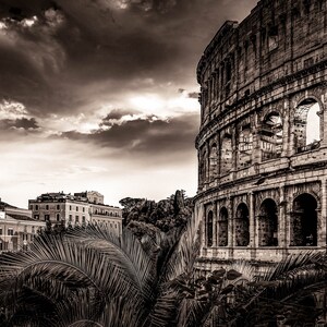 Colosseo romano in bianco e nero incorniciato da palme vista unica fotografia artistica regalo per gli amanti dell'Italia su tela carta acrilico metallo