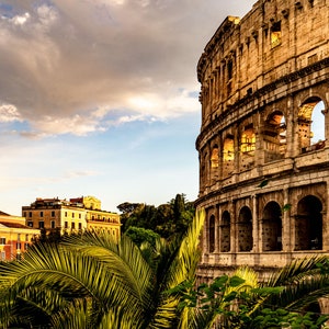 Colosseo romano incorniciato da palme vista unica fotografia artistica a colori regalo per gli amanti dell'Italia su tela carta acrilico metallo regalo perfetto
